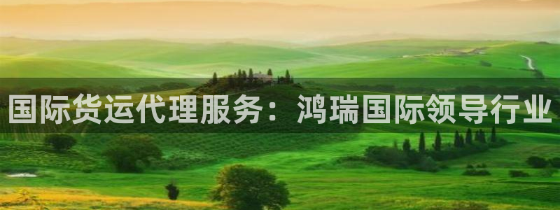 z6尊龙凯时：国际货运代理服务：鸿瑞国际领导行业