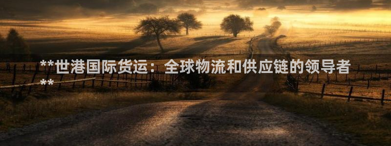 尊龙一人生就是博电子游戏：**世港国际货运：全球物流和供