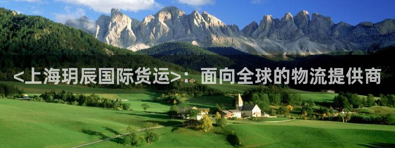 尊龙旗舰app：<上海玥辰国际货运>：面向全球的物流提供