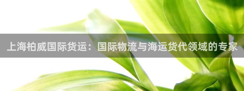尊龙凯时导航菜单首页：上海柏威国际货运：国际物流与海运货