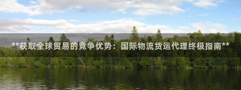 尊龙凯时旗舰厅官网：**获取全球贸易的竞争优势：国际物流