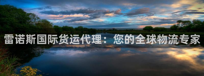 z6尊龙凯时旗：雷诺斯国际货运代理：您的全球物流专家