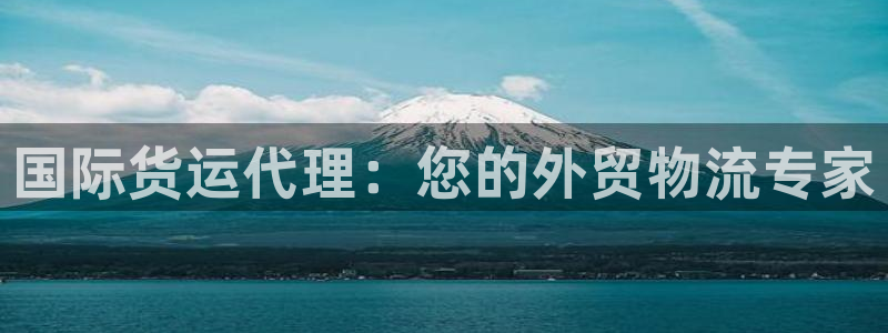 尊龙手机官方客户端下载：国际货运代理：您的外贸物流专家
