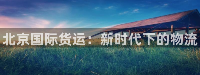 尊龙网站人生就是博：北京国际货运：新时代下的物流