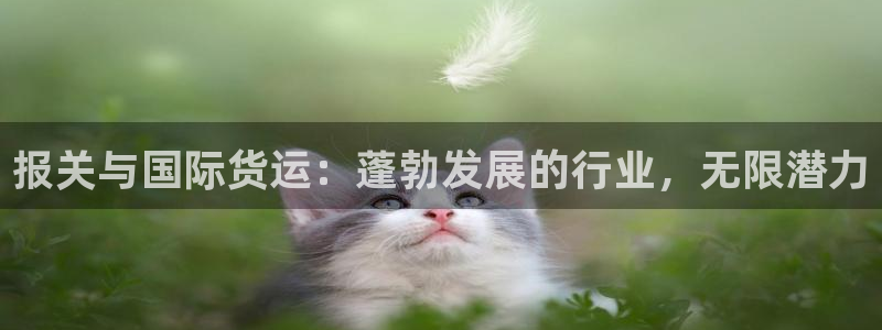 尊龙凯时泰安：报关与国际货运：蓬勃发展的行业，无限潜力