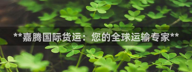 尊龙官方网站是真的吗：**嘉腾国际货运：您的全球运输专家