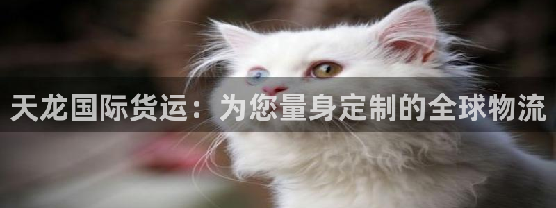 尊龙人生就是博旧：天龙国际货运：为您量身定制的全球物流