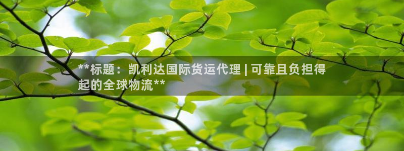 尊龙ktv怎么样：**标题：凯利达国际货运代理 | 可靠