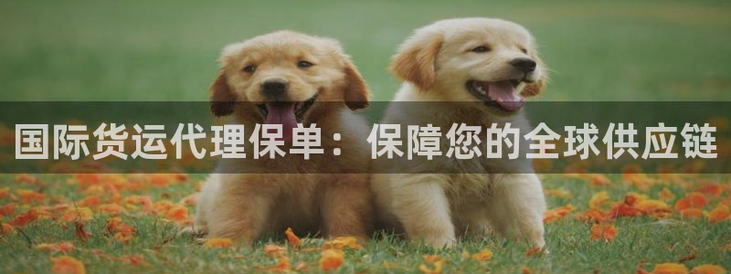 尊龙凯时账号异常审核提不了款怎么办：国际货运代理保单：保