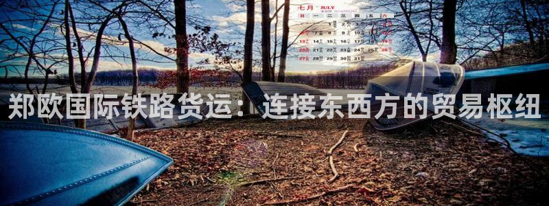尊龙官网/首选kpm：郑欧国际铁路货运：连接东西方的贸易