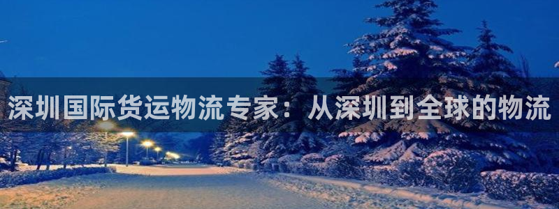 尊龙凯时官网平台：深圳国际货运物流专家：从深圳到全球的物