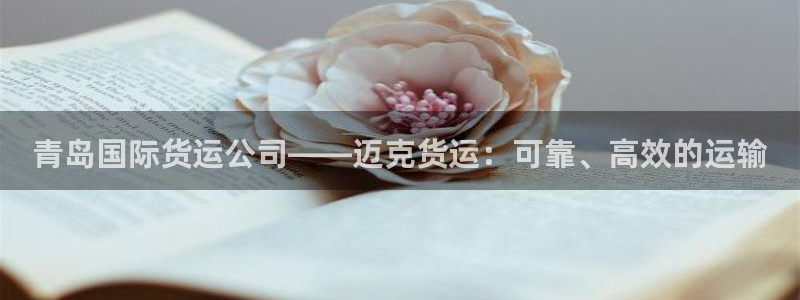 尊龙凯时出款：青岛国际货运公司——迈克货运：可靠、高效的
