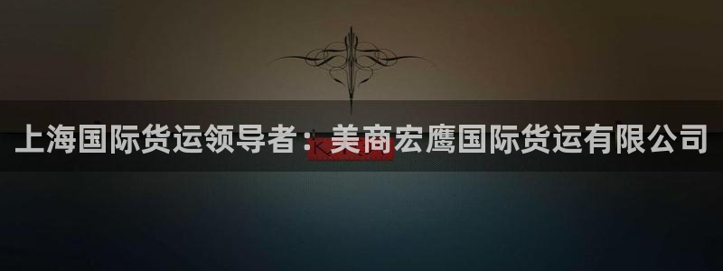 尊龙游戏官方网：上海国际货运领导者：美商宏鹰国际货运有限