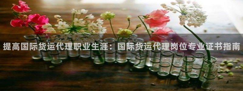 尊龙AG发财网：提高国际货运代理职业生涯：国际货运代理岗