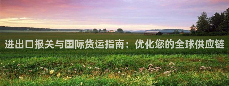 尊龙凯时手机版·(中国)官方网站：进出口报关与国际货运指