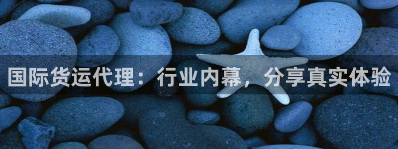 尊龙凯时人生就是搏·(中国)官网：国际货运代理：行业内幕