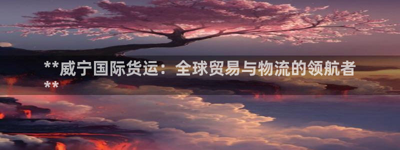 尊龙凯时人生就是博·(中国)官网官：**威宁国际货运：全