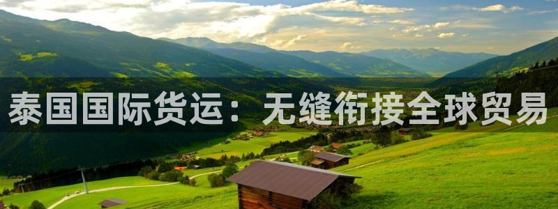 尊龙凯时是直营吗：泰国国际货运：无缝衔接全球贸易