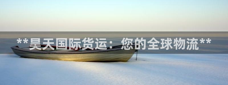 尊龙体育怎么样：**昊天国际货运：您的全球物流**