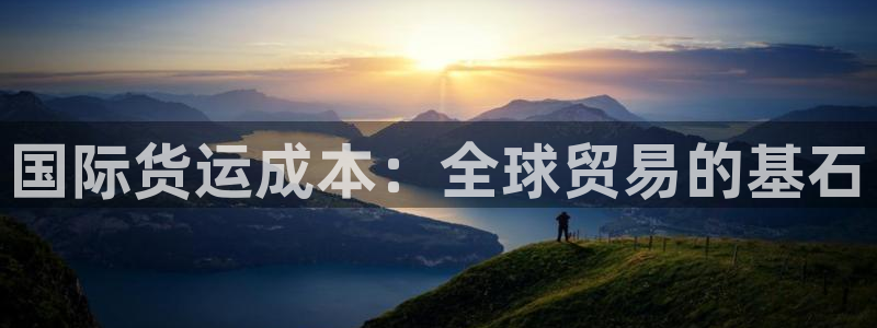 尊龙凯时法充十万返现多少：国际货运成本：全球贸易的基石
