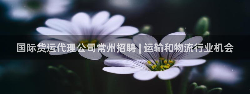 尊龙凯时电竞：国际货运代理公司常州招聘 | 运输和物流行