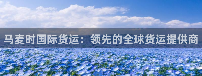 z6尊龙凯时旗舰厅首页：马麦时国际货运：领先的全球货运提