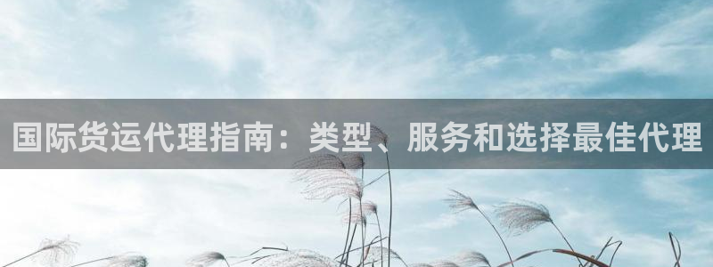 尊龙凯时合法吗?：国际货运代理指南：类型、服务和选择最佳