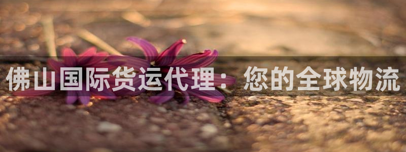 尊龙am i blue：佛山国际货运代理：您的全球物流