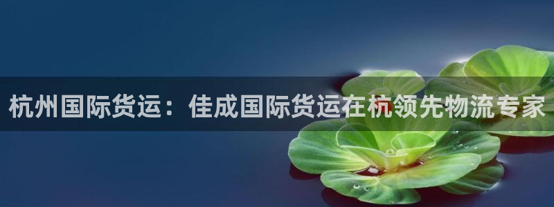 尊龙凯时提现不了：杭州国际货运：佳成国际货运在杭领先物流
