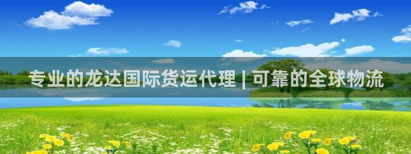 尊龙凯时泰安：专业的龙达国际货运代理 | 可靠的全球物流