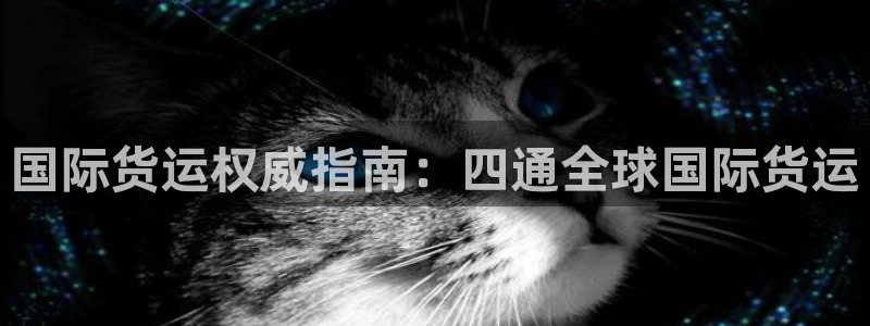 ag尊龙怎么样：国际货运权威指南：四通全球国际货运