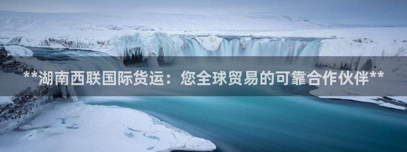 尊龙凯时用户名m：**湖南西联国际货运：您全球贸易的可靠