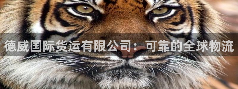 尊龙凯时能提现吗：德威国际货运有限公司：可靠的全球物流