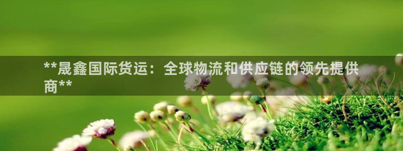 尊龙凯时人生就是搏官方网站：**晟鑫国际货运：全球物流和