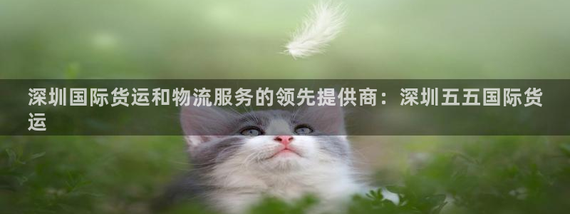 尊龙凯时法充十万返现多少：深圳国际货运和物流服务的领先提