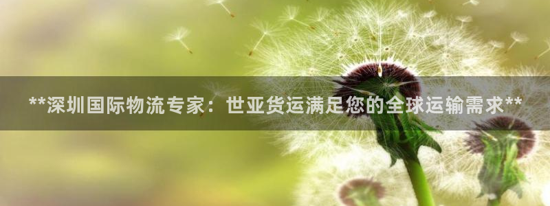 Z6尊龙凯时登录：**深圳国际物流专家：世亚货运满足您的