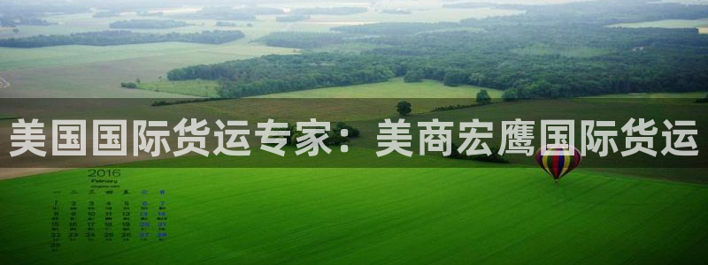 尊龙负面新闻：美国国际货运专家：美商宏鹰国际货运