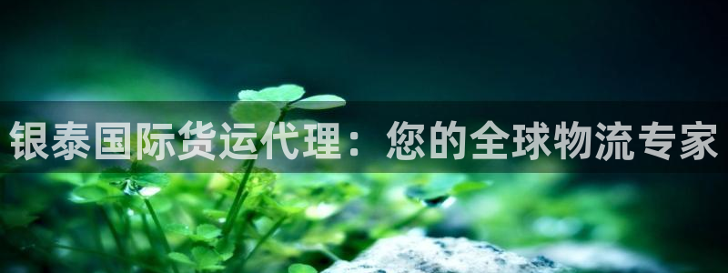 尊龙t600怎么样：银泰国际货运代理：您的全球物流专家