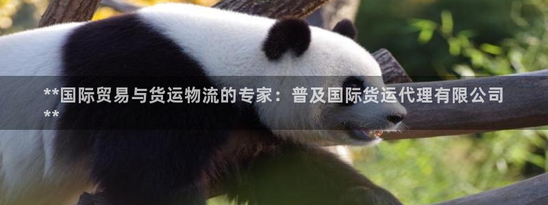 尊龙 10：**国际贸易与货运物流的专家：普及国际货运代