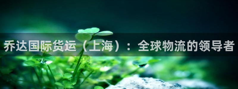 尊龙d88手机版下载：乔达国际货运（上海）：全球物流的领