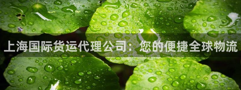 尊龙凯时取款有要求吗：上海国际货运代理公司：您的便捷全球