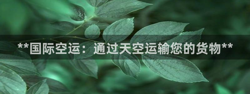 尊龙官网：**国际空运：通过天空运输您的货物**