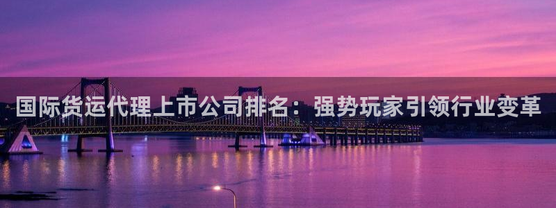 尊龙官方平台是正品吗：国际货运代理上市公司排名：强势玩家