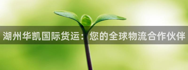 尊龙手机官方客户端下载安装：湖州华凯国际货运：您的全球物