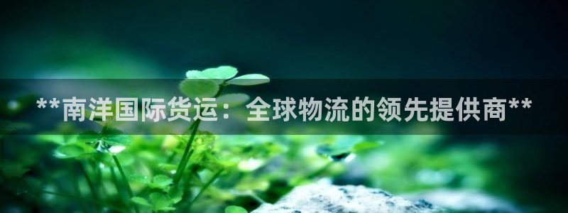 尊龙人生手机版都去ag发财网：**南洋国际货运：全球物流