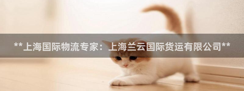 尊龙凯时凯发官网：**上海国际物流专家：上海兰云国际货运