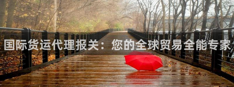 旧版尊龙人生就是博下载：国际货运代理报关：您的全球贸易全