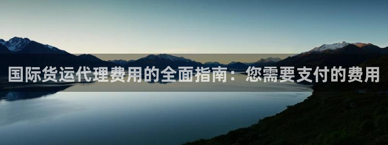 尊龙人生就是博管网：国际货运代理费用的全面指南：您需要支