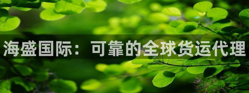 尊龙凯时网站不让提款：海盛国际：可靠的全球货运代理