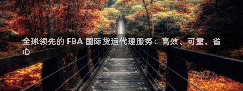 尊龙z6平台：全球领先的 FBA 国际货运代理服务：高效